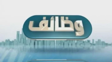 فرص بالمحافظات.. شروط التقديم على وظائف شركات توزيع الكهرباء الفنية والهندسية الجديدة